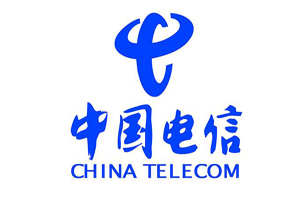 电信定陶分公司